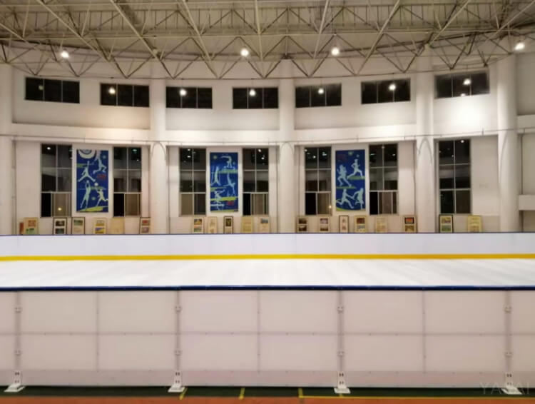 Synthetic Ice Rink (1)