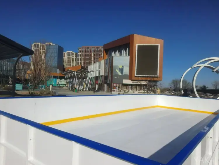 Synthetic Ice Rink (10)