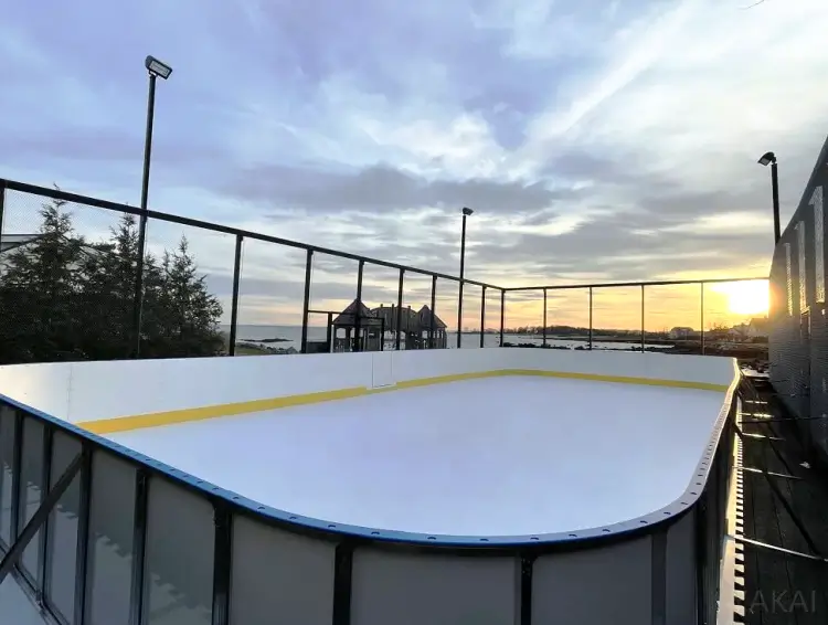 Synthetic Ice Rink (11)