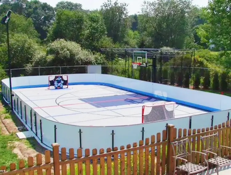 Synthetic Ice Rink (7)