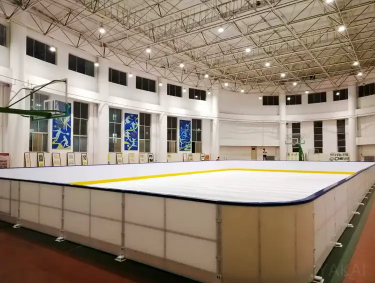 Synthetic Ice Rink (8)