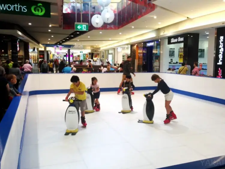 Synthetic Ice Rink (9)