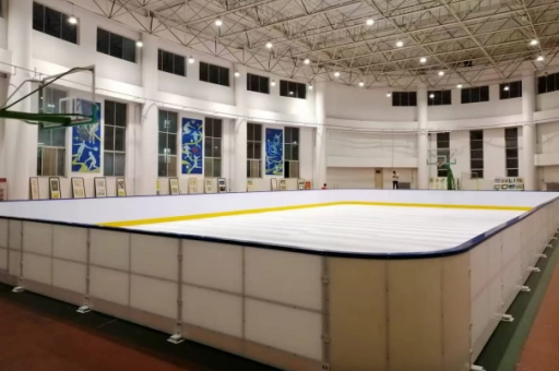 Synthetic Ice Rink