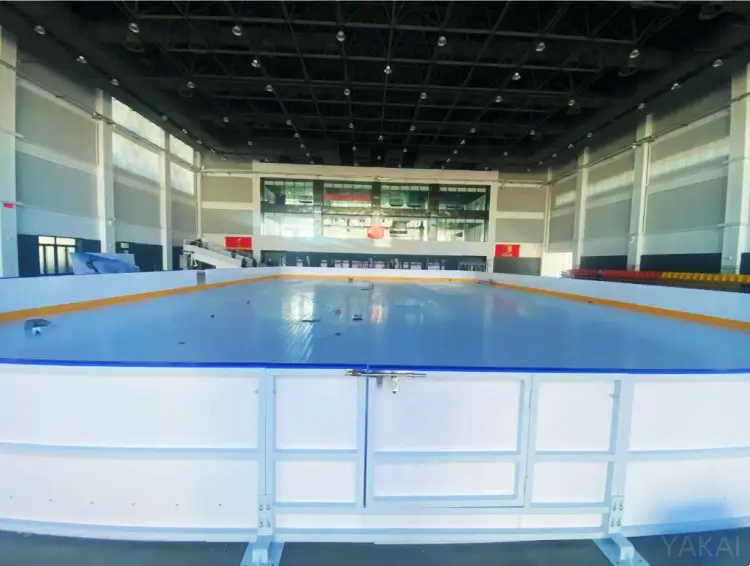 Synthetic Ice Rink1 (2)