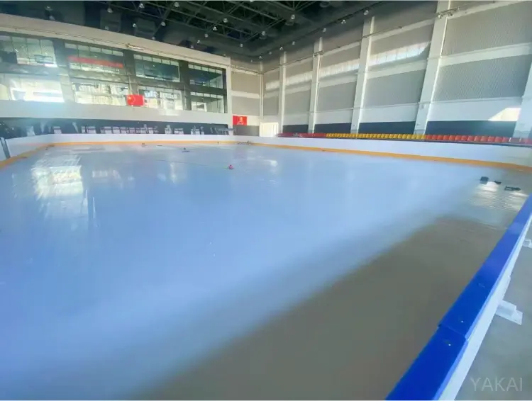 Synthetic Ice Rink1 (3)